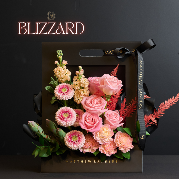 Blizzard